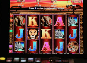 壹元娱乐官方网站入口最新版